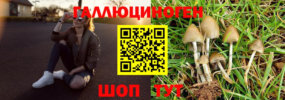 Севастополь  Галлюциногенные грибы Psilocybe  Галлюциногенные грибы прущие грибы  купить наркотики сайты  Вход с VPN 