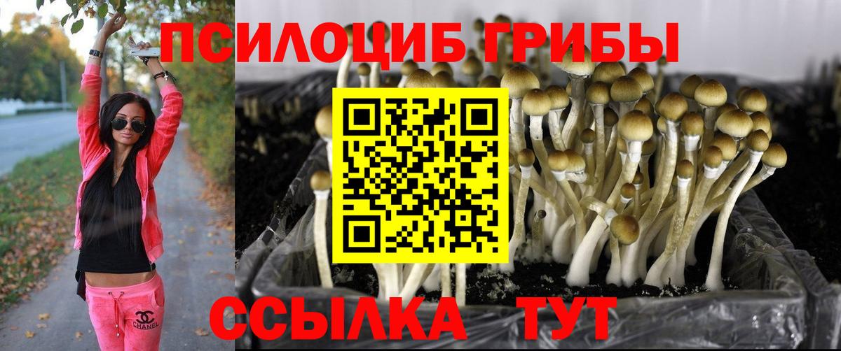 Псилоцибиновые грибы ЛСД Севастополь